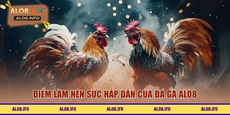 Điểm làm nên sức hấp dẫn của đá gà ALO8