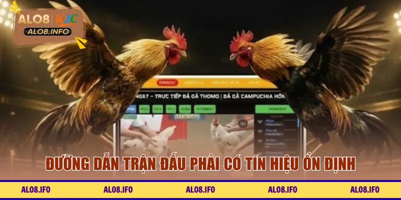 Đường dẫn trận đấu phải có tín hiệu ổn định