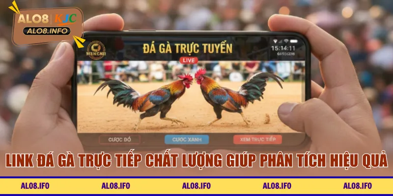 Link đá gà trực tiếp chất lượng giúp phân tích hiệu quả