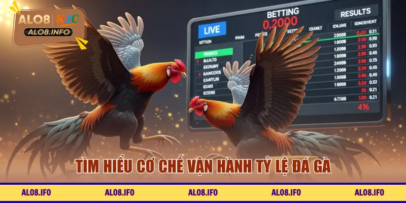 Tìm hiểu cơ chế vận hành tỷ lệ đá gà