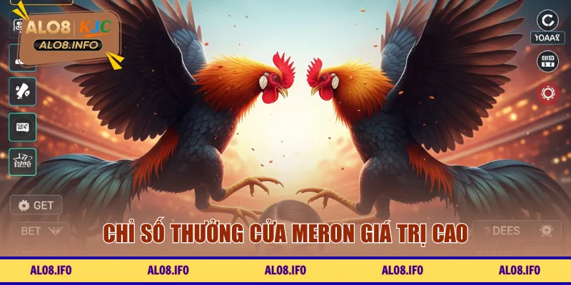 Chỉ số thưởng cửa Meron giá trị cao
