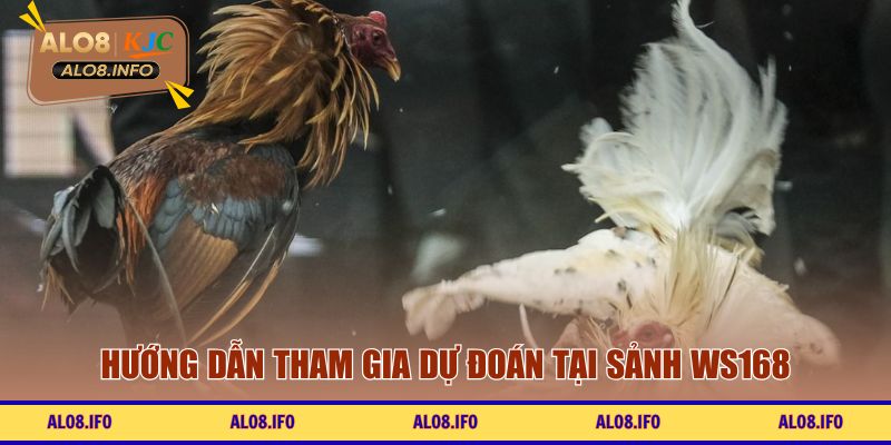 Hướng dẫn tham gia dự đoán tại sảnh WS168