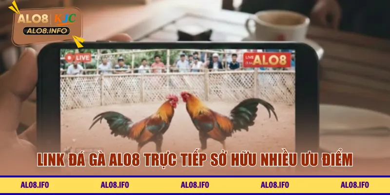 Link đá gà ALO8 trực tiếp sở hữu nhiều ưu điểm