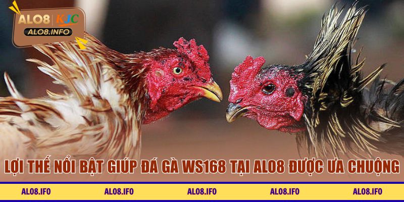 Lợi thế nổi bật giúp đá gà WS168 được ưa chuộng