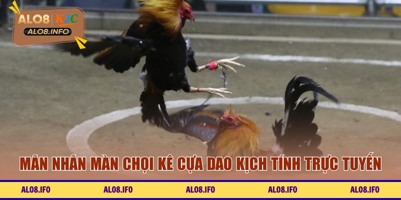 Mãn nhãn màn chọi kê cựa dao kịch tính trực tuyến