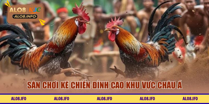 Sân chơi kê chiến đỉnh cao khu vực châu Á